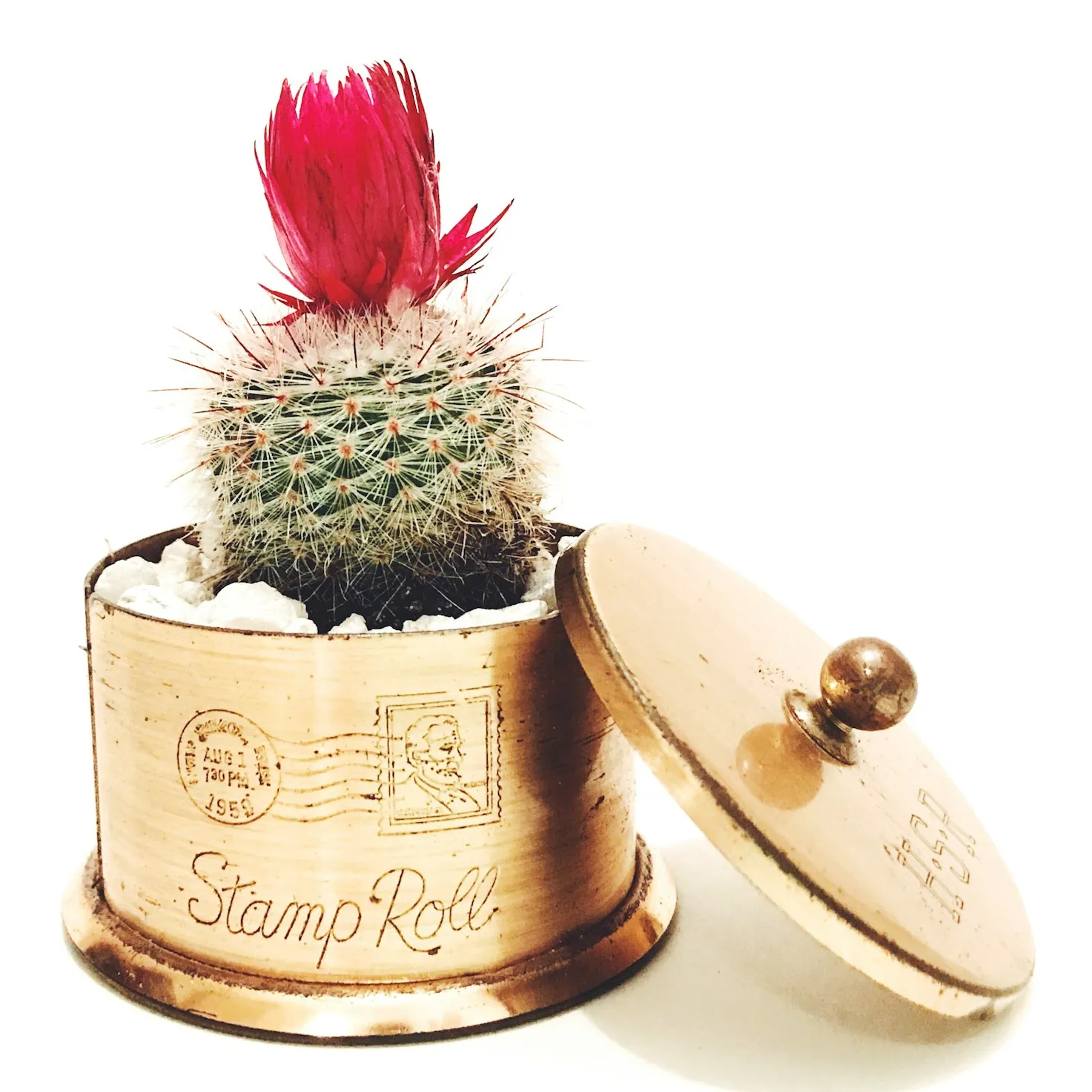 商品画像：パロディア・ルチランス