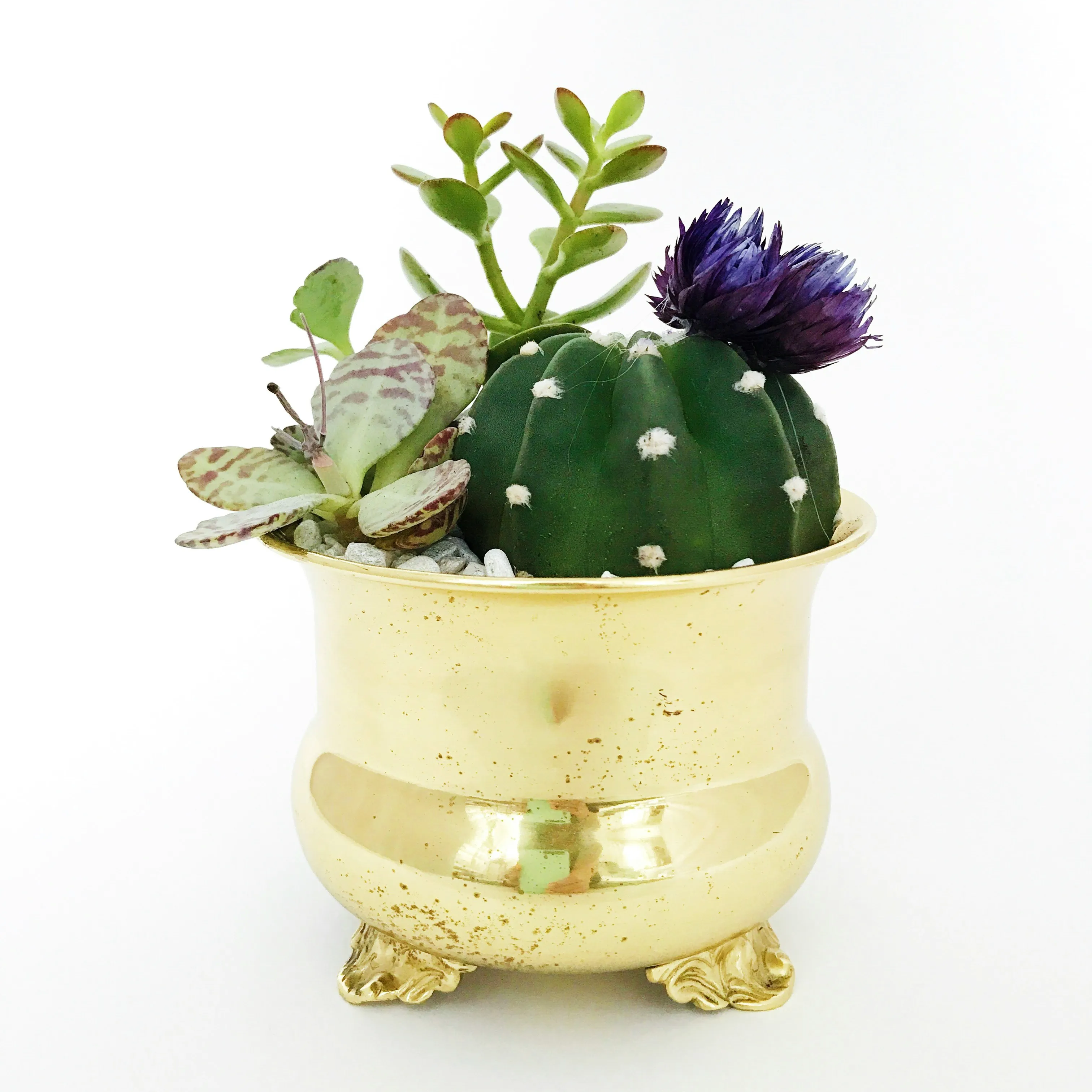 商品画像：スタッフ おまかせアレンジ