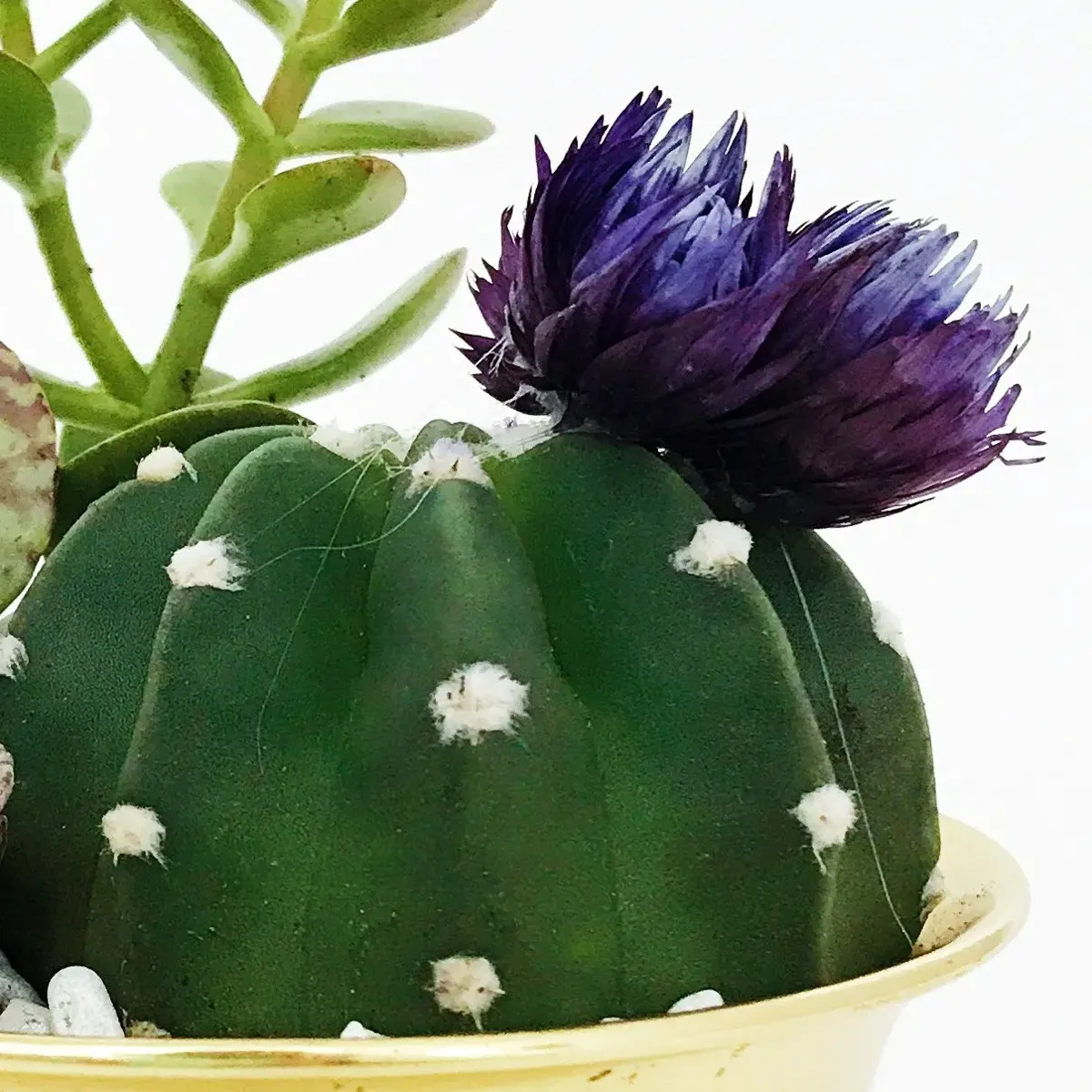 商品画像3枚目：スタッフ おまかせアレンジ