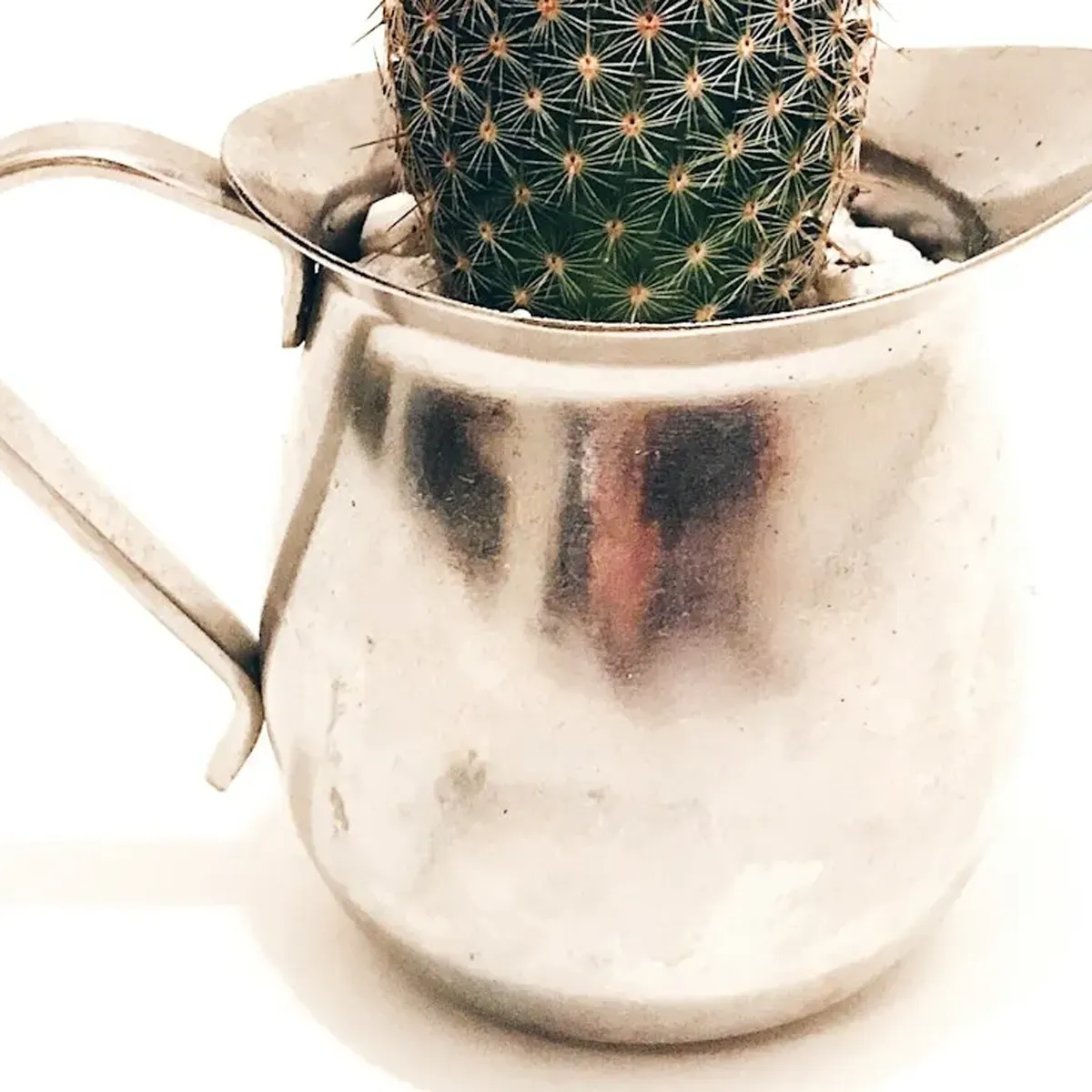 商品画像5枚目：スタッフ おまかせアレンジ