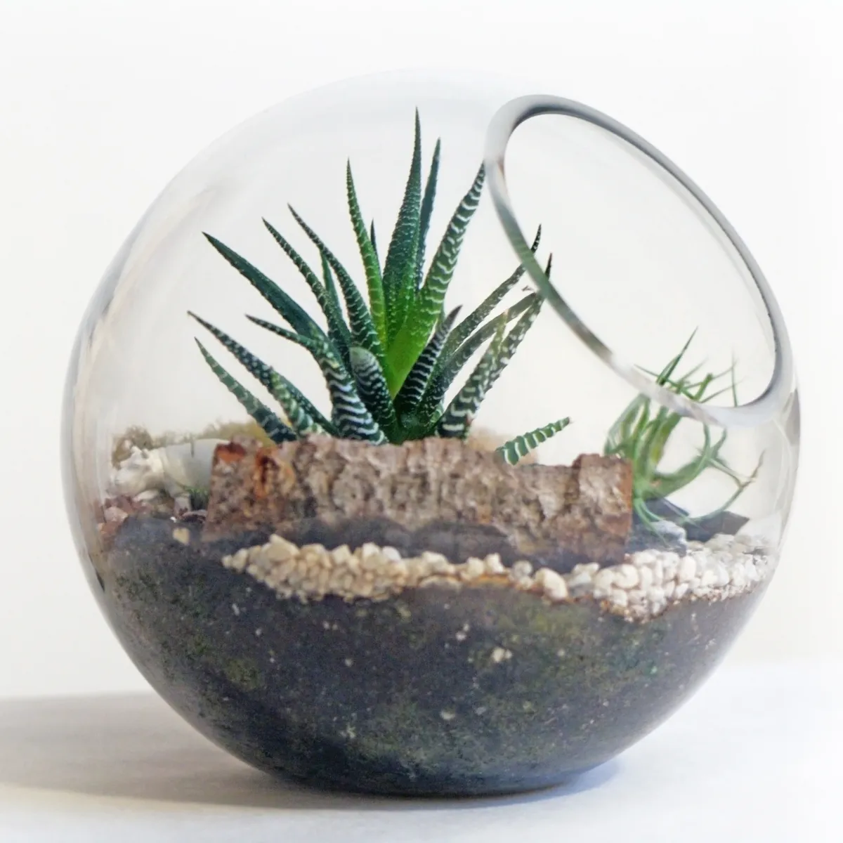 商品画像2枚目：スタッフ おまかせアレンジ