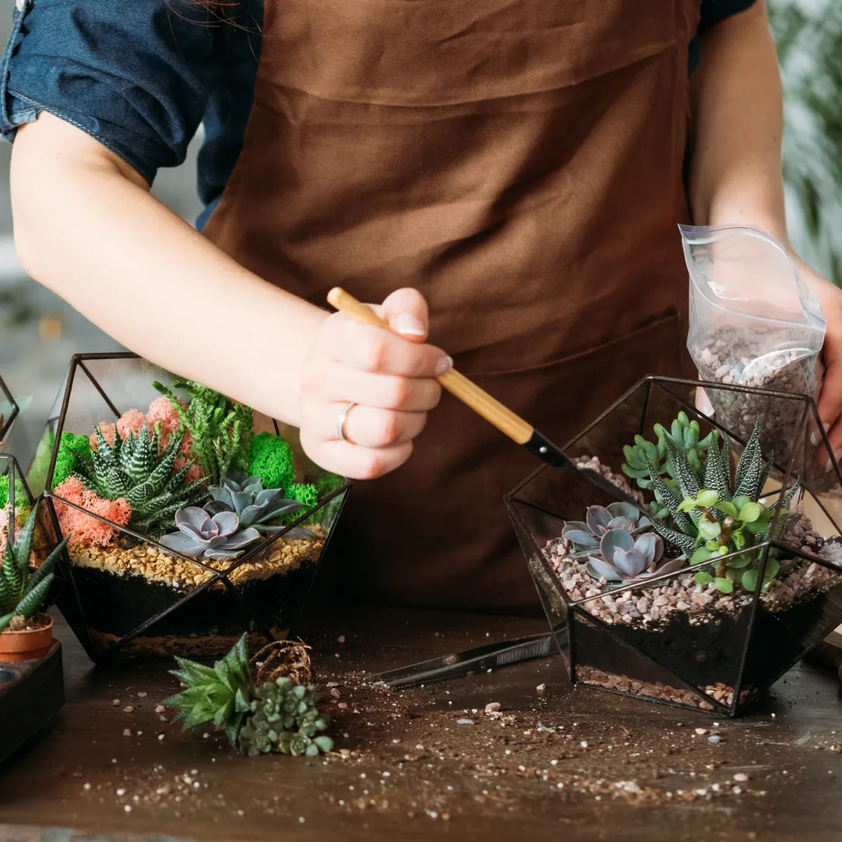 商品画像5枚目：スタッフ おまかせアレンジ