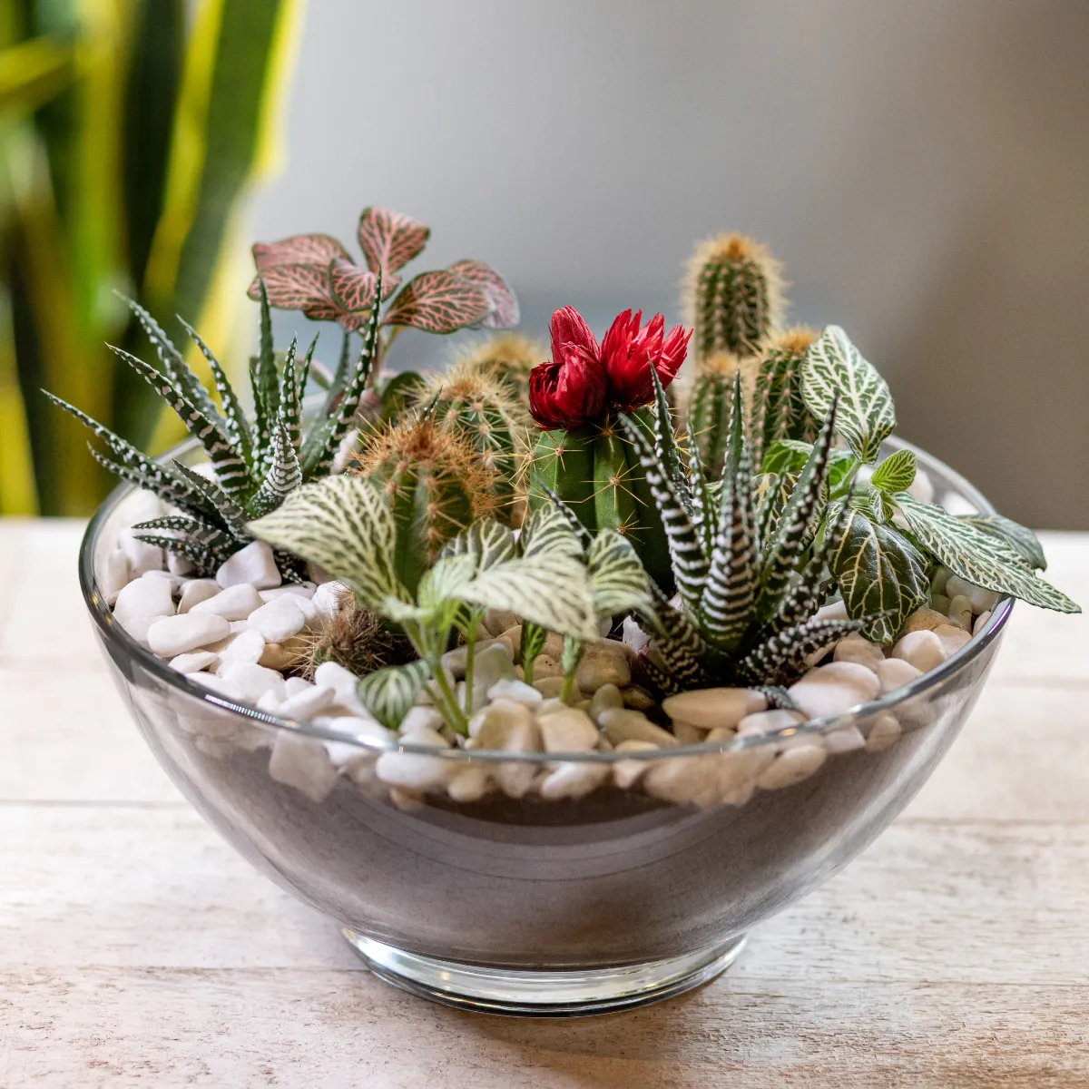 商品画像5枚目：スタッフ おまかせアレンジ