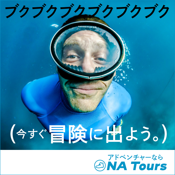 NA Toursのバナー
